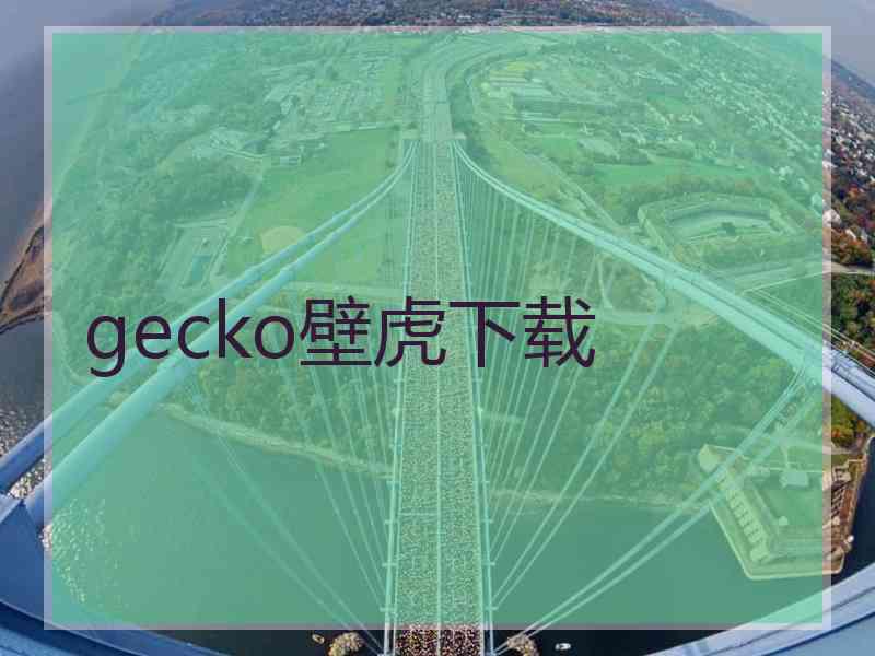 gecko壁虎下载