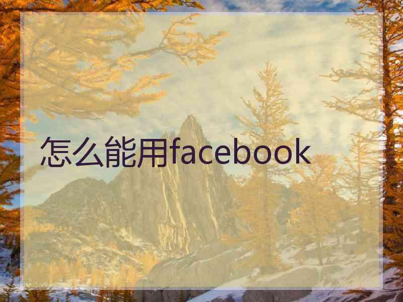 怎么能用facebook