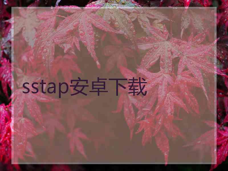 sstap安卓下载