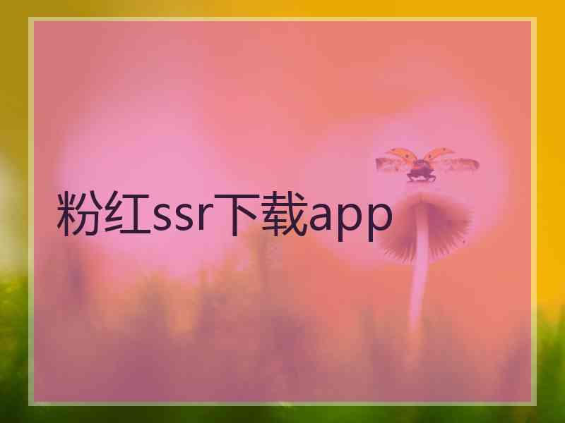 粉红ssr下载app