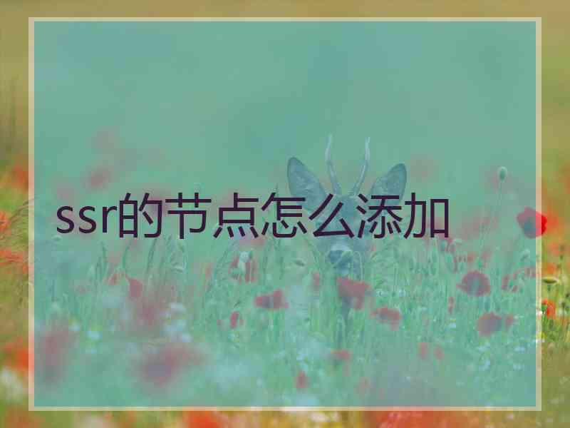 ssr的节点怎么添加