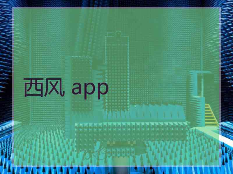 西风 app