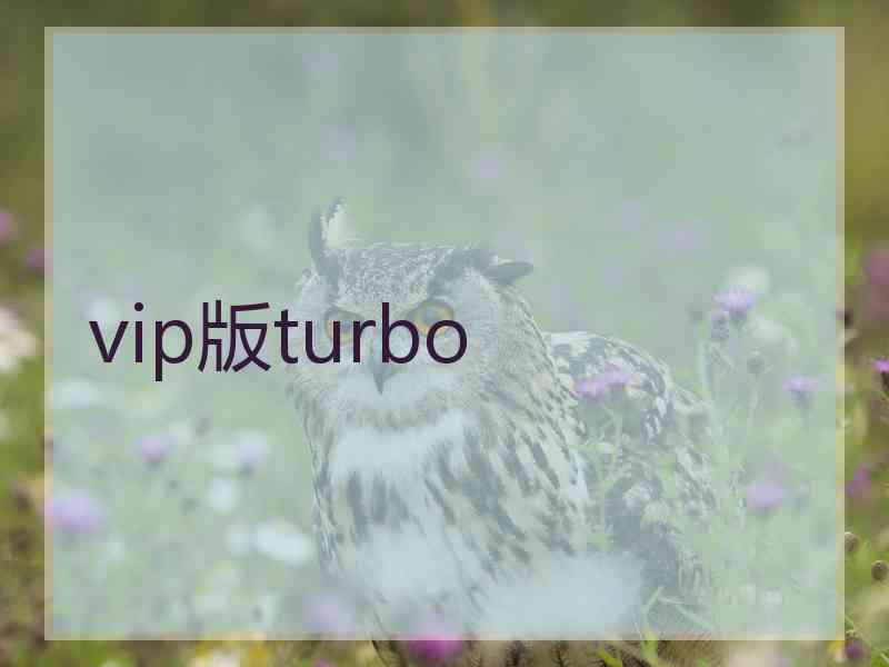 vip版turbo