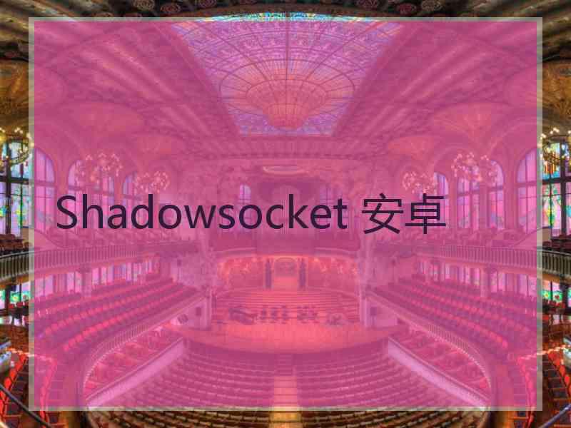 Shadowsocket 安卓