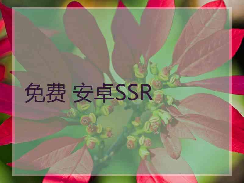 免费 安卓SSR