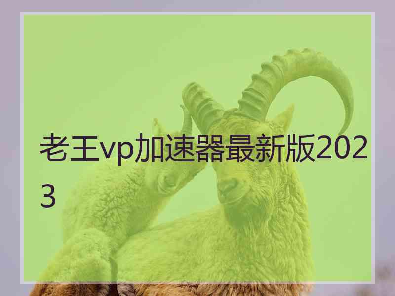 老王vp加速器最新版2023