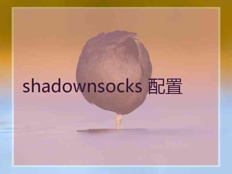 shadownsocks 配置