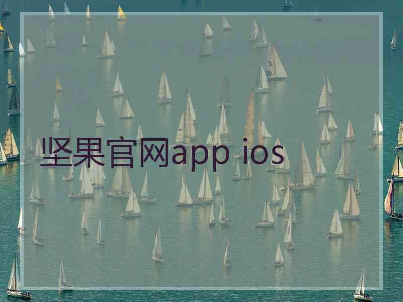 坚果官网app ios