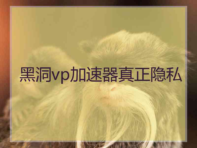 黑洞vp加速器真正隐私