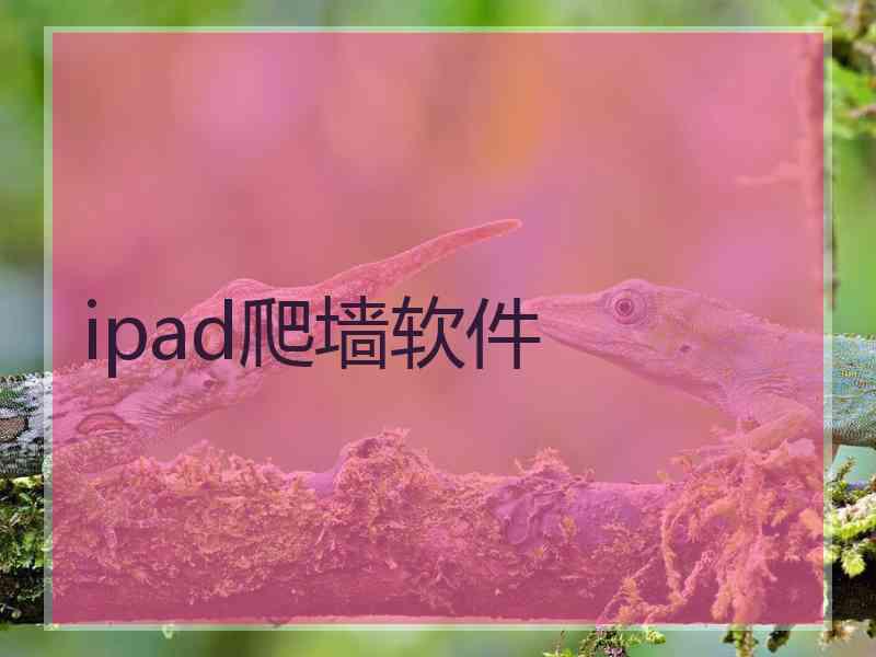 ipad爬墙软件