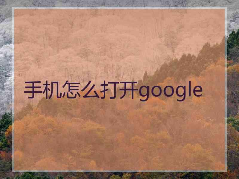 手机怎么打开google