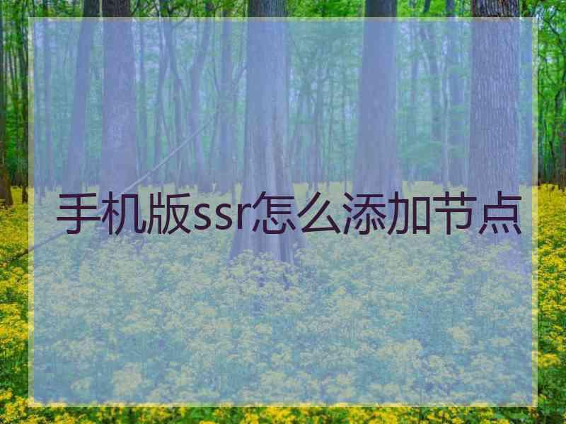 手机版ssr怎么添加节点