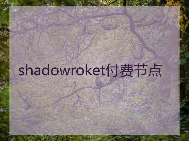 shadowroket付费节点