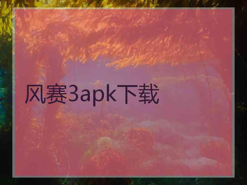 风赛3apk下载