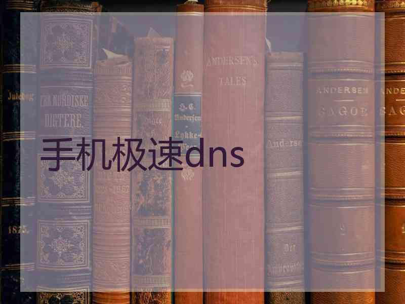 手机极速dns