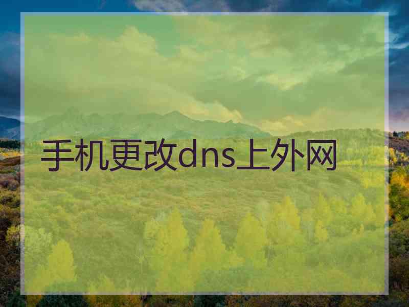 手机更改dns上外网