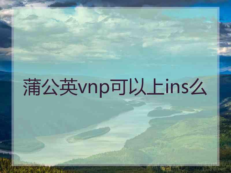 蒲公英vnp可以上ins么