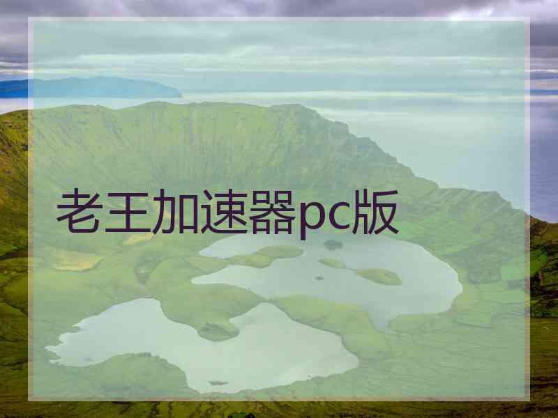 老王加速器pc版