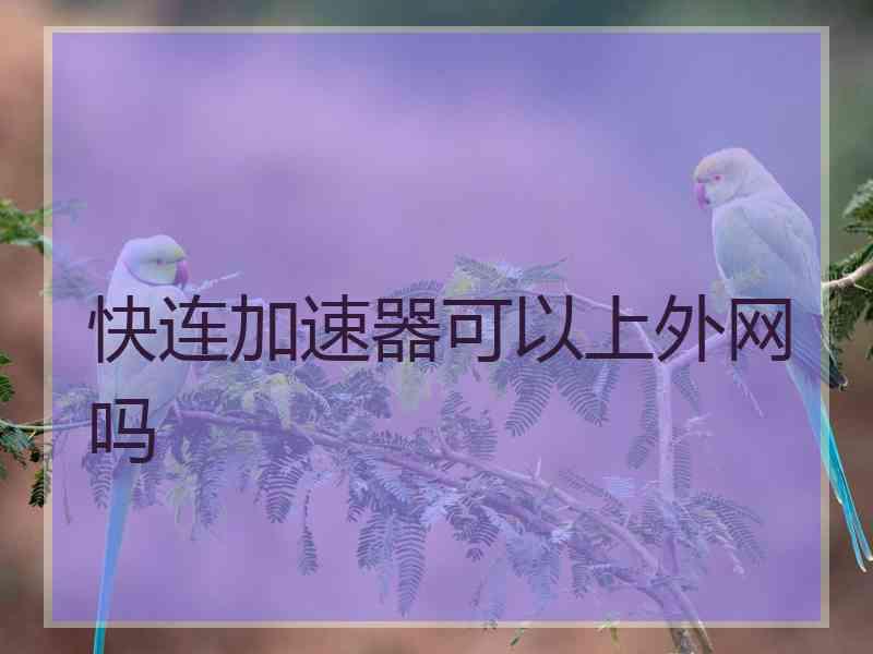 快连加速器可以上外网吗