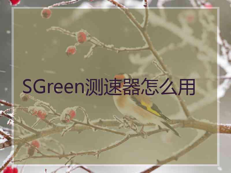 SGreen测速器怎么用