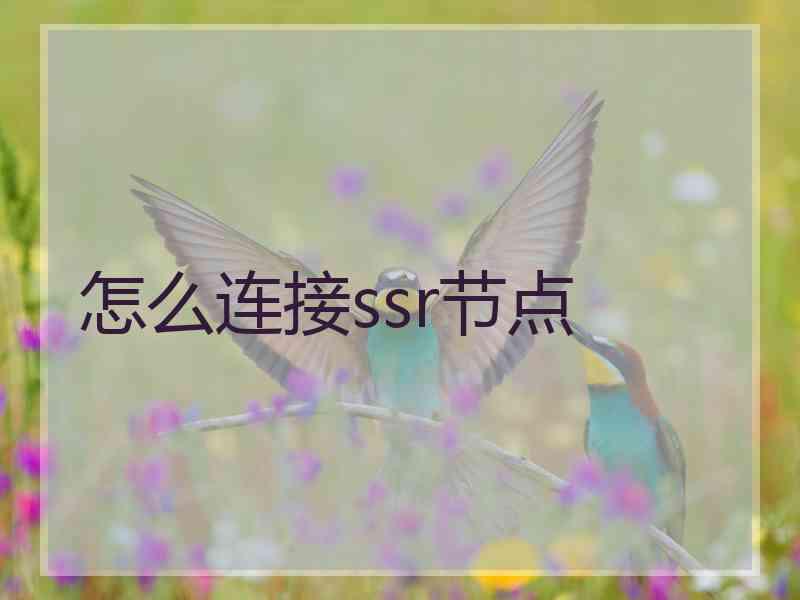 怎么连接ssr节点