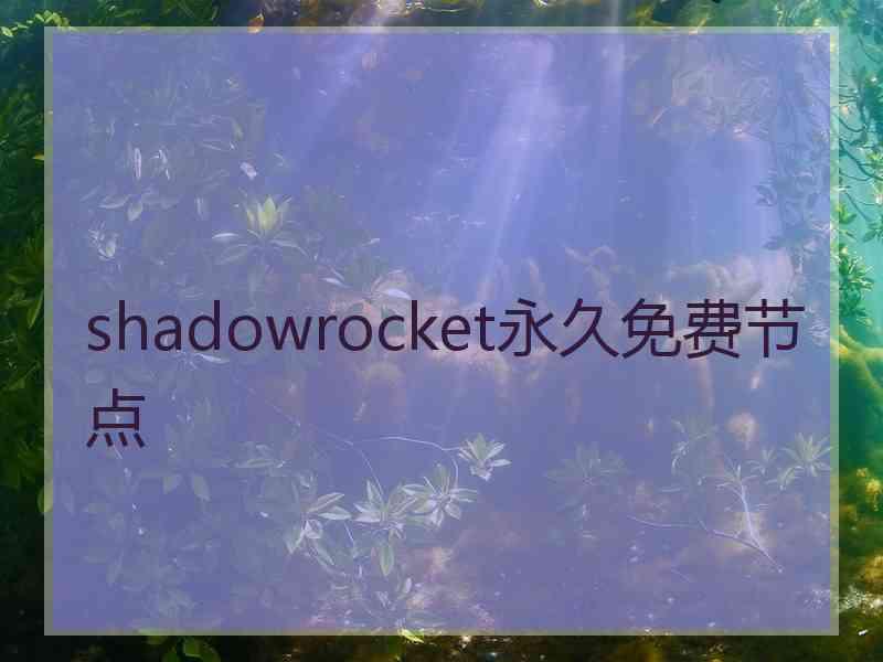 shadowrocket永久免费节点