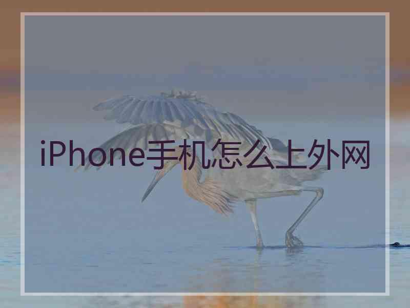 iPhone手机怎么上外网