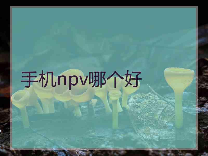 手机npv哪个好