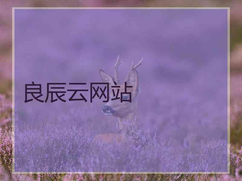 良辰云网站