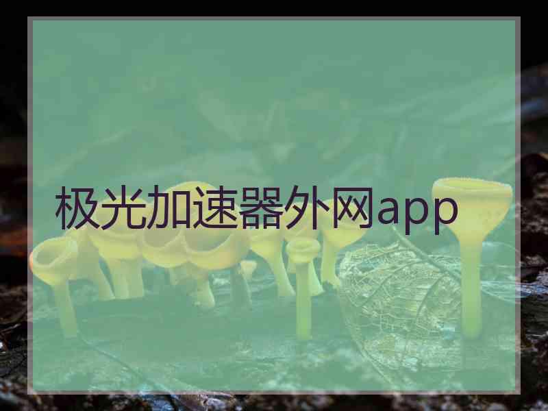 极光加速器外网app