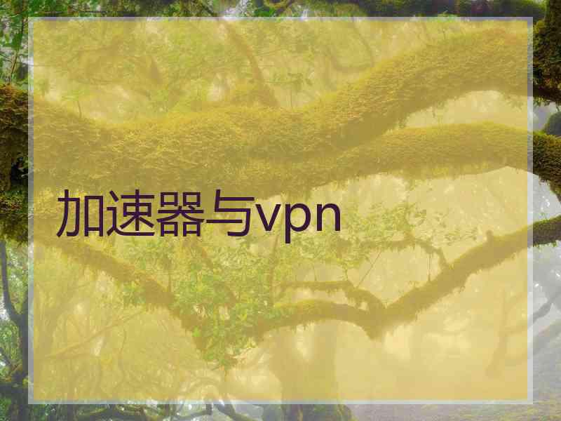 加速器与vpn