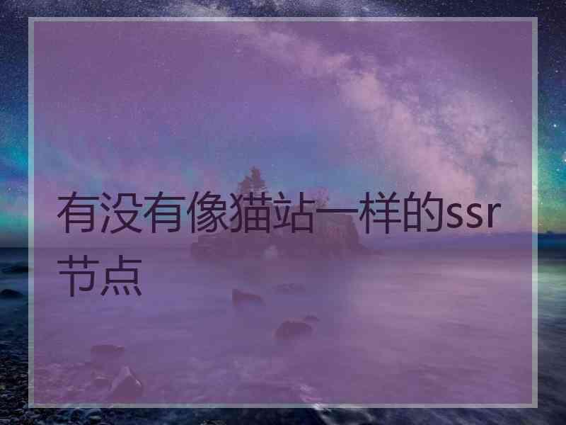 有没有像猫站一样的ssr节点