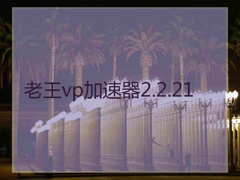 老王vp加速器2.2.21