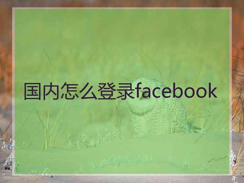 国内怎么登录facebook