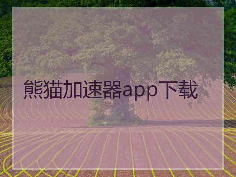 熊猫加速器app下载