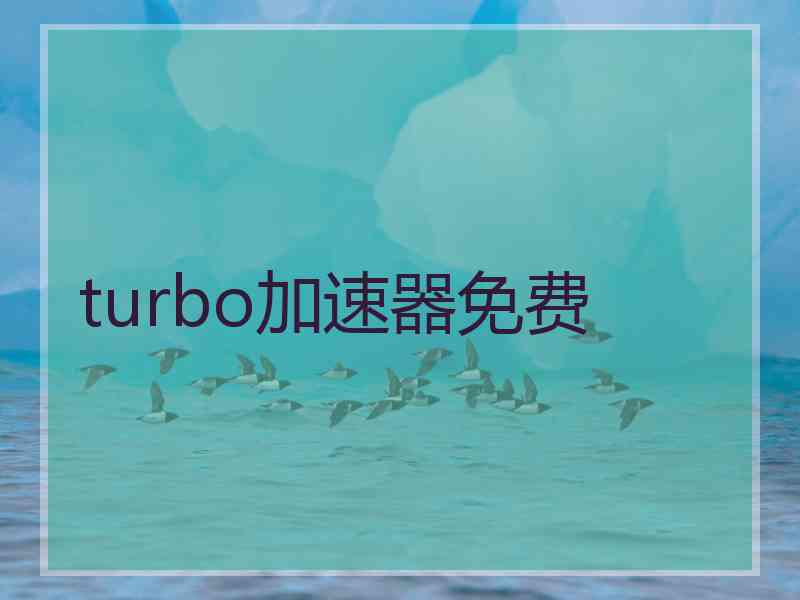 turbo加速器免费