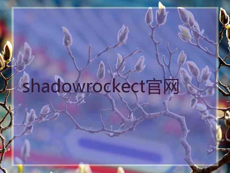 shadowrockect官网