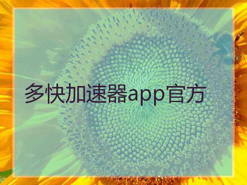 多快加速器app官方