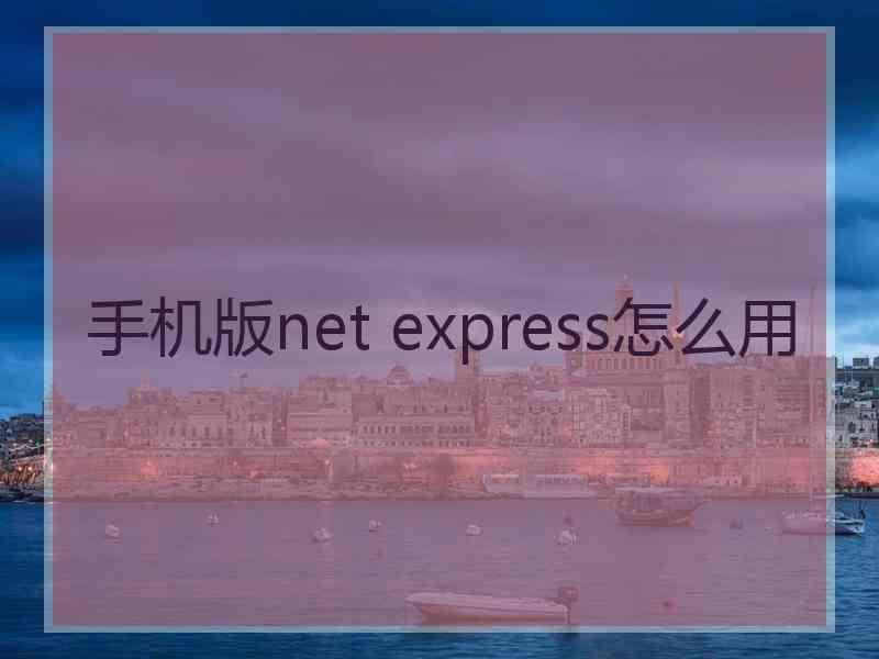 手机版net express怎么用