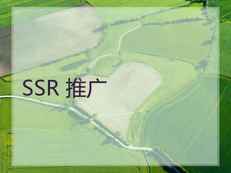 SSR 推广