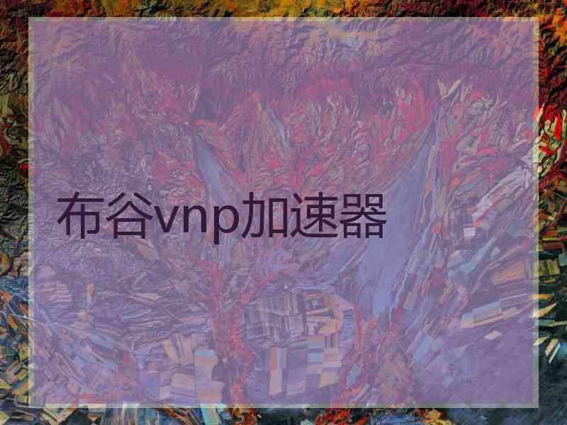 布谷vnp加速器