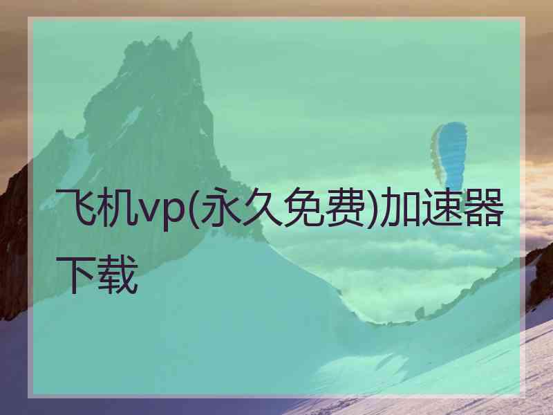 飞机vp(永久免费)加速器下载