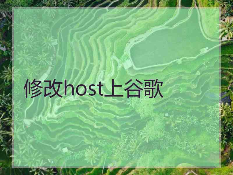 修改host上谷歌