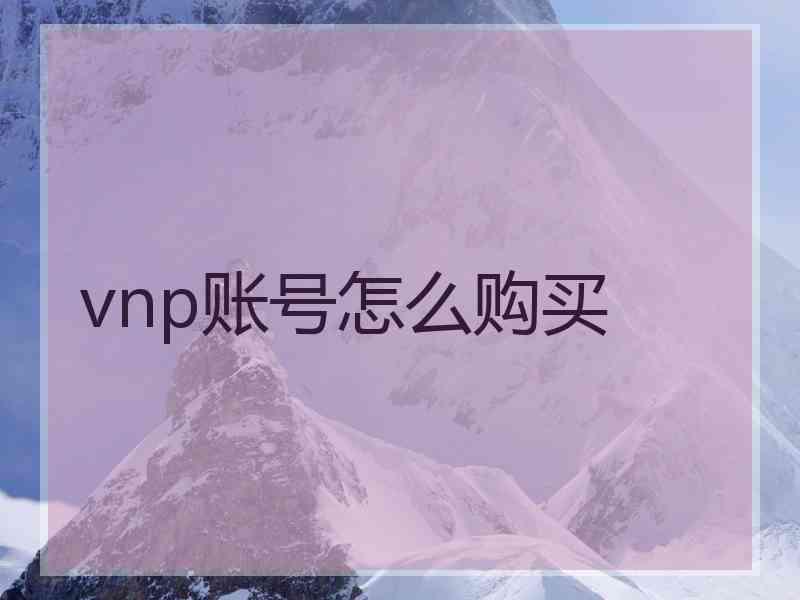 vnp账号怎么购买