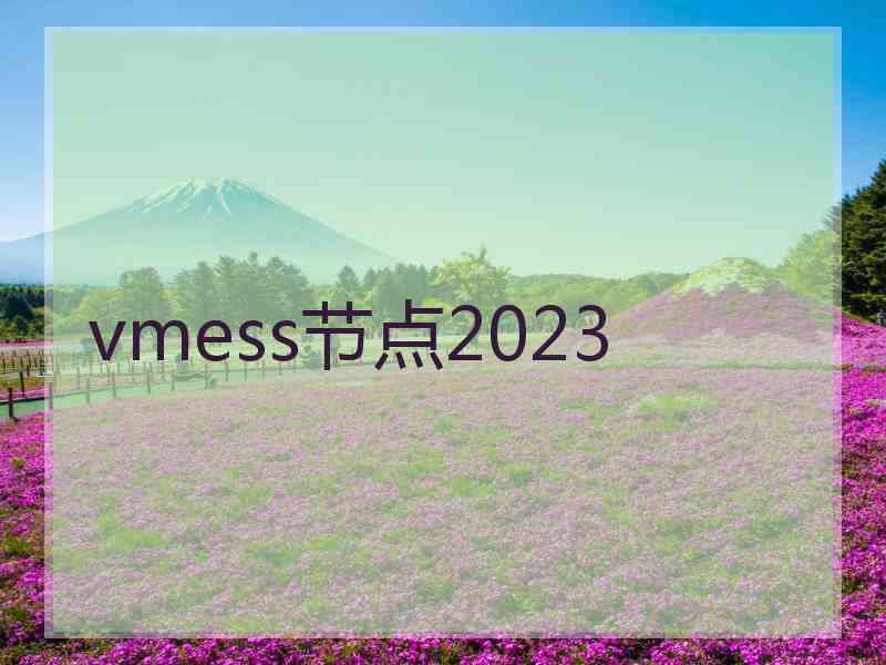 vmess节点2023