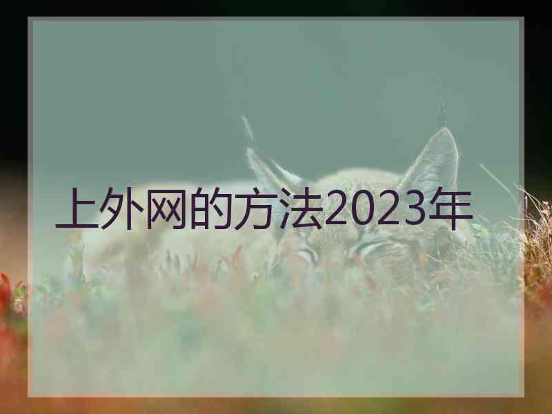 上外网的方法2023年