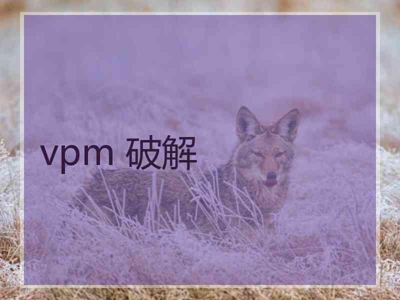 vpm 破解