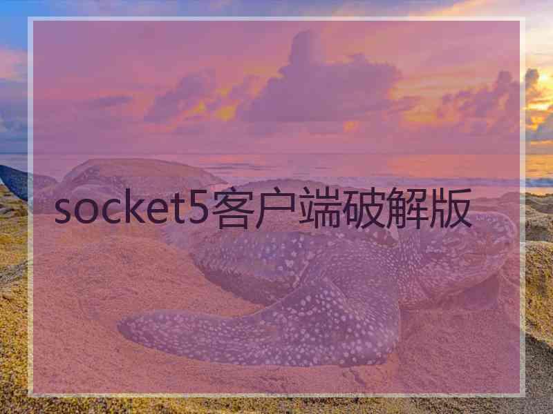 socket5客户端破解版