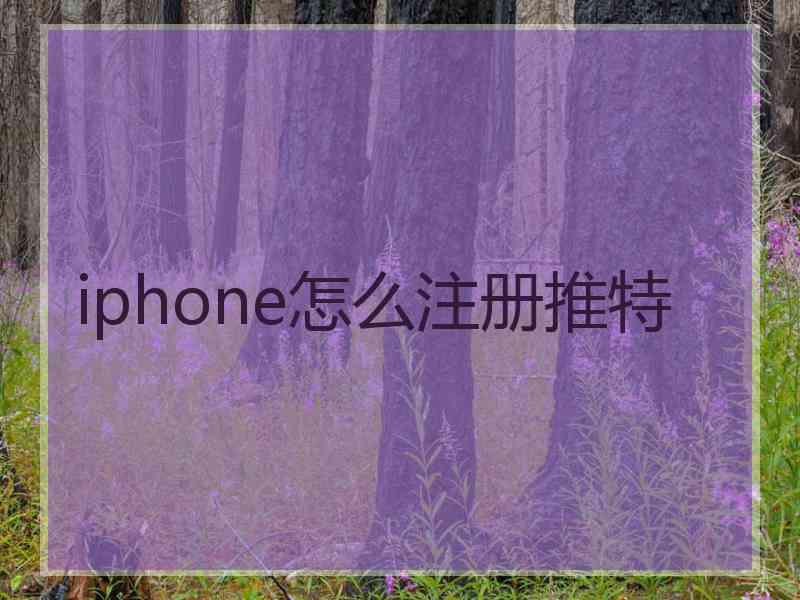 iphone怎么注册推特