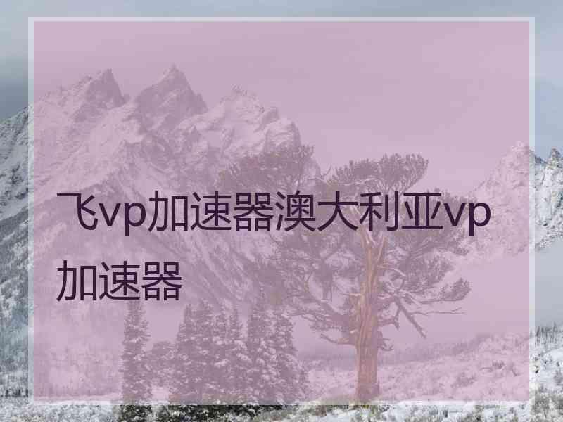 飞vp加速器澳大利亚vp加速器